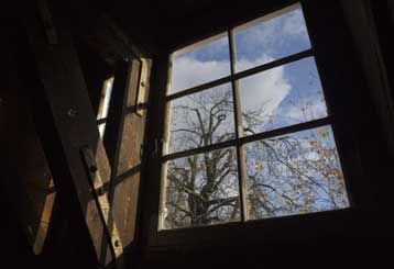 Βρέθηκε λύση για να σωθεί η καστανιά της Αννας Φρανκ