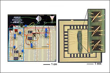 Μικροσκοπικά ραδιόφωνα κατασκευάστηκαν από νανοσωλήνες