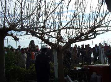 Στις 150.000 ευρώ το όριο για τη ρύθμιση των χρεών στις πυρόπληκτες περιοχές