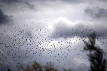 Σε κλοιό κακοκαιρίας παραμένει το μεγαλύτερο μέρος της χώρας