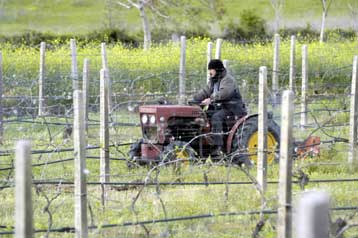 Mείωση ορίου ηλικίας συνταξιοδότησης αγροτών ζητούν 52 βουλευτές της ΝΔ