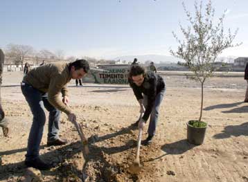 Κάλεσμα «Ανοιχτής Πόλης» σε δενδροφύτευση πάρκου της Κυψέλης για την προστασία του
