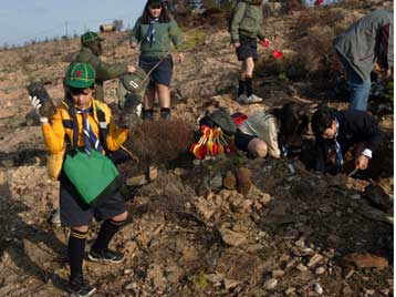 Προσφυγές στο ΣτΕ για την κήρυξη αναδασωτέων εκτάσεων στην Αττική