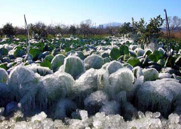 Στον κλοιό της ακρίβειας η χώρα μετά το κύμα της κακοκαιρίας