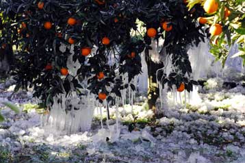 Αρχισε η καταγραφή των ζημιών στις καλλιέργειες