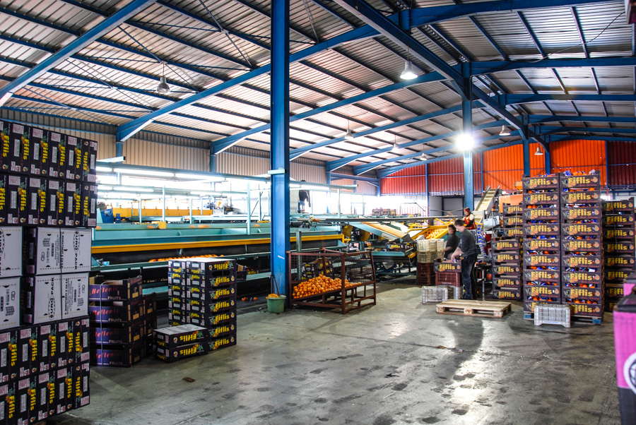 Τα πορτοκάλια της Σκάλας!