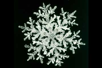 Οι χιονονιφάδες σχηματίζονται με τη βοήθεια μικροβίων