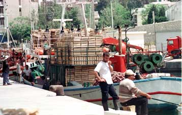 Πήραν τα… λιμάνια οι αλιείς για τους περιορισμούς στο ψάρεμα που επιβάλλει η ΕΕ