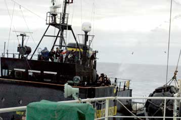 Συμπλοκή ακτιβιστών-φαλαινοθήρων στα ανοιχτά της Ανταρκτικής