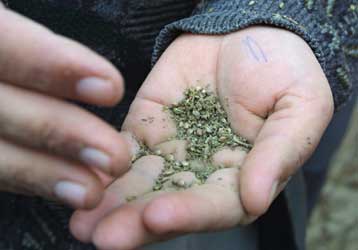 Αυστηρή αντιμετώπιση των σταρ που κάνουν χρήση ναρκωτικών ζητά ο ΟΗΕ