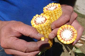 «Δελτίο» στην ανθρωπιστική παροχή τροφίμων λόγω των υψηλών τιμών εξετάζει ο ΟΗΕ