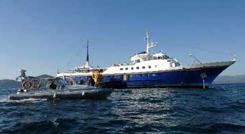 Στον Εισαγγελέα Πειραιά θα οδηγηθεί ο πλοίαρχος του τουριστικού πλοίου «Γεωργής»