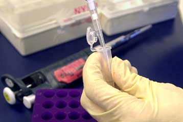 Πρόταση για μορατόριουμ στη χρήση γενετικών δεδομένων από τους ασφαλιστές