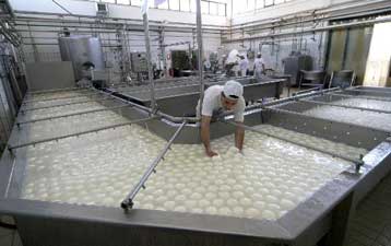 Αναστάτωση στις ιταλικές αρχές για το γάλα βούβαλου με υψηλά ποσοστά διοξίνης