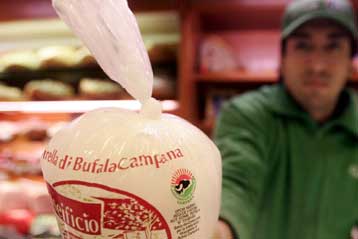 Παρέμβαση της Κομισιόν για την μολυσμένη με διοξίνες ιταλική μοτσαρέλα