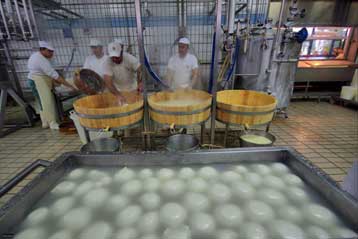 Προληπτικοί έλεγχοι του ΕΦΕΤ στην αγορά για το θέμα της ιταλικής μοτσαρέλας