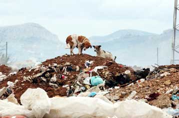 Διυπουργική Επιτροπή για την ολοκληρωμένη διαχείριση των σκουπιδιών