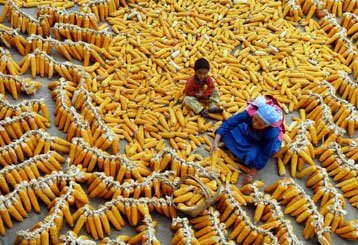 Με προϋποθέσεις η προώθηση των βιοκαυσίμων στην ΕΕ, δηλώνει ο Σταύρος Δήμας