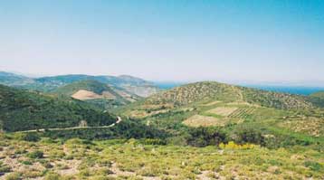 Αυξήσεις έως 50% κατά μέσο όρο στις αντικειμενικές αξίες των εκτός σχεδίου ακινήτων