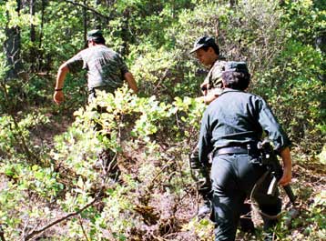 Στα ίχνη κυκλώματος παράνομης διακίνησης οικονομικών μεταναστών η ΕΛ.ΑΣ.