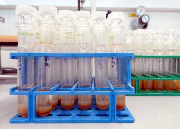 Ντόπινγκ, μια παλιά πρακτική που δεν πρόκειται να σταματήσει