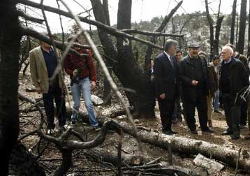 Την αποκατάσταση του Εθνικού Δρυμού της Πάρνηθας ζήτησε ο Κάρολος Παπούλιας
