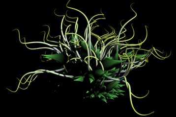 Κακόβουλα προγράμματα μετατρέπονται σε έργα τέχνης