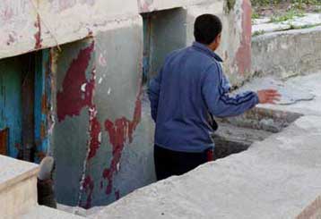 Σε άθλιες συνθήκες ζουν μετανάστες για το μεροκάματο σε καλλιέργειες της Ηλείας