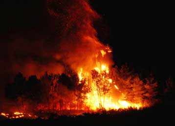 Αλλαξε «χέρια» ο φάκελος της πυρκαγιάς στη Ζαχάρω, λόγω καθυστερήσεων