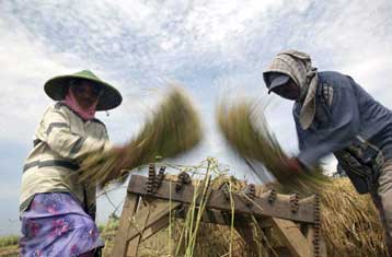 Η κρίση με τα τρόφιμα θα φέρει μεγαλύτερη ένδεια, προειδοποιεί η Παγκόσμια Τράπεζα