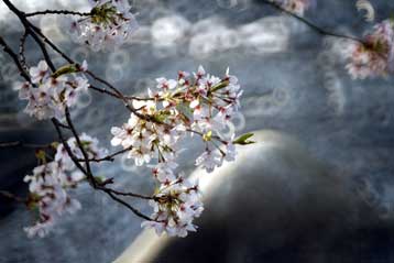 Ο φετινός Μάρτιος ήταν ο θερμότερος καταγεγραμμένος στην ξηρά