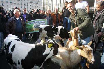 Συμβολικός αποκλεισμός του τελωνειακού σταθμού των Ευζώνων από κτηνοτρόφους