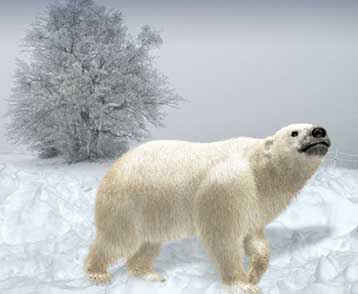 Στο περιβάλλον είναι αφιερωμένη η νέα παραγωγή της «Θόλου» του ΙΜΕ