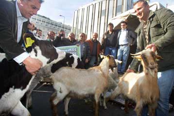 Σε προσωρινή αναστολή κινητοποιήσεων προχώρησαν οι κτηνοτρόφοι