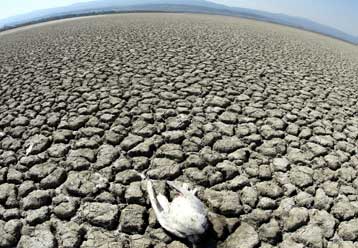 Παγκόσμια Ημέρα της Γης με τον πλανήτη να νοσεί βαθύτατα