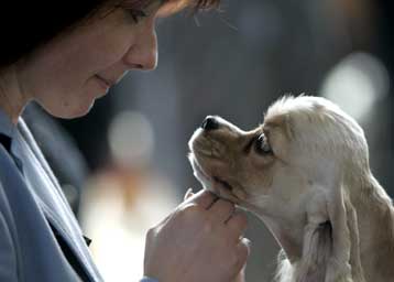 Μην βάζετε το σκύλο στην κρεβατοκάμαρα, προειδοποιεί κορυφαίος Βρετανός γιατρός