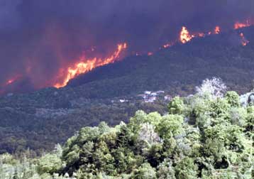 Υπό έλεγχο η πυρκαγιά σε περιοχή της Αργαλαστής Βόλου