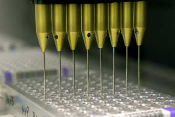 Νομοθεσία κατά των γενετικών διακρίσεων θεσπίζουν οι ΗΠΑ