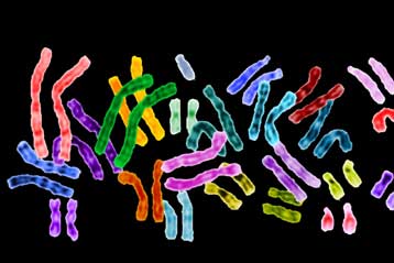 Εντοπίστηκαν τα γενετικά αίτια του παιδικού νευρoβλαστώματος