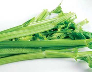 Σέλινο εναντίον νόσου Αλτσχάιμερ και σπογγώδους εγκεφαλοπάθειας