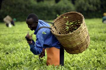 «Φρέσκες ιδέες» για την αντιμετώπιση της επισιτιστικής κρίσης ζητά ο ΓΓ του ΟΗΕ