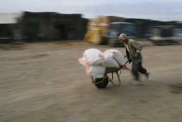 «Αθωώνει» τα βιοκαύσιμα σε σχέση με την επισιτιστική κρίση η Κομισιόν