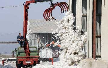 Εγκρίθηκε από το Ευρωκοινοβούλιο η αναθεώρηση του καθεστώτος στήριξης για το βαμβάκι