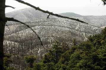 Προκαταρκτική εξέταση για δημοσιεύμα περί καταπατήσεων στην Πάρνηθα