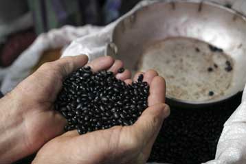 Τον «κώδωνα του κινδύνου» για την επισιτιστική κρίση κρούει το Ευρωκοινοβούλιο