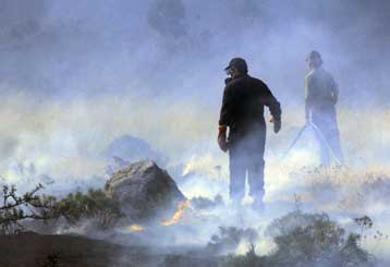 Στην κρίση των νομαρχών η απαγόρευση κυκλοφορίας σε εθνικούς δρυμούς και δάση