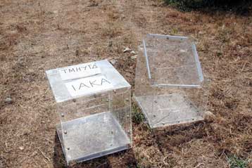 Καταδικάζει τα επεισόδια στο ΑΠΘ η πανεπιστημιακή κοινότητα