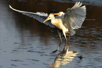 Οι φτωχοί του πλανήτη απειλούνται από την καταστροφή του περιβάλλοντος