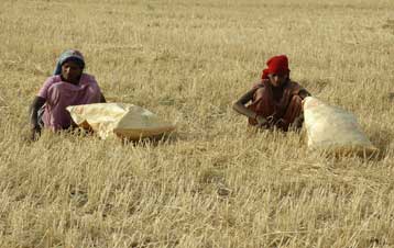Σειρά επαφών ξεκινά από το Καράκας για την αντιμετώπιση της επισιτιστικής κρίσης