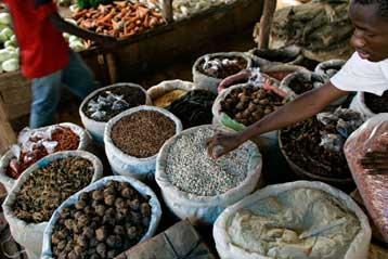 Συμφωνία για την καταπολέμηση της πείνας στη Σύνοδο του FAO